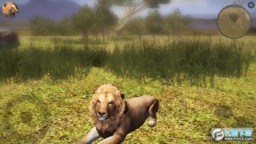 终极狮子模拟器2中文版最新版 终极狮子模拟器2中文版最新版