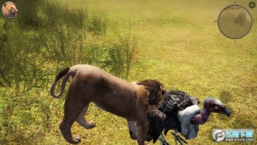 终极狮子模拟器2无限经验版最新版2023 终极狮子模拟器2无限经验版最新版2023