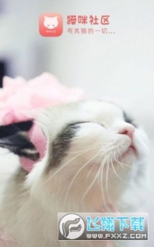 è������App2023�ٷ����°�