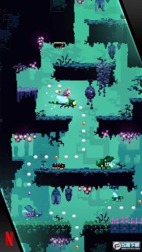 ���˵�¶��������Ѱ�