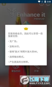 Enhance it�߼������°�2023