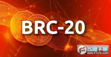 brc20ʲô˼?brc20ʲô?