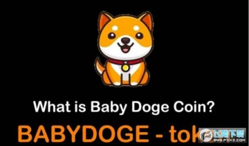 BabyDoger BabyDogeϢ