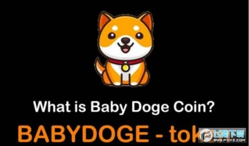 BabyDoge۸ BabyDogeϢ