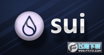 suiֵͶY suiǰ suir