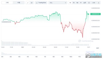 KONG¼۸_KONGô_KONGҽ