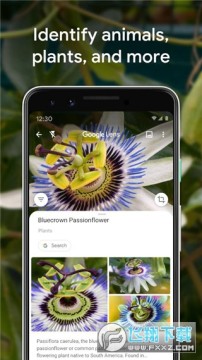 Google Lens��Ѱ�װ