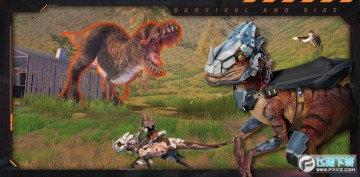 �������������ذ�װ���İ�