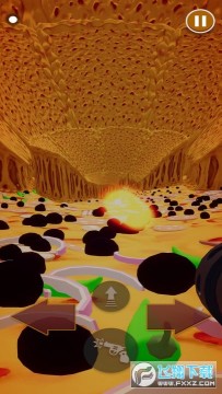 ���������ܿ���Ѱ�