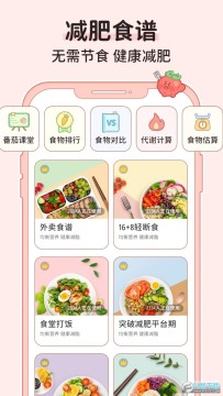 番茄闪轻app官方最新版2023 番茄闪轻app官方最新版2023