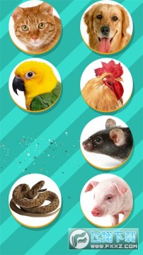 PetTranslator动物语言翻译器 PetTranslator动物语言翻译器