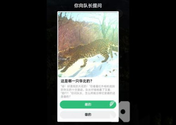 ֧ΛρɭֱoѲo𰸴ȫ_Λρɭֺ혱oشʲN