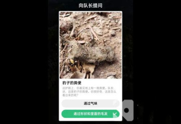 ֧ΛρɭֱoѲo𰸴ȫ_Λρɭֺ혱oشʲN