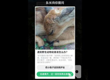 ֧ΛρɭֱoѲo𰸴ȫ_Λρɭֺ혱oشʲN