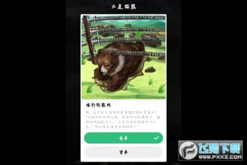 ֧ɭֱѲ𰸴ȫ_ɭּشʲô