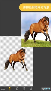 ProKnokout���ܿ�ͼ����