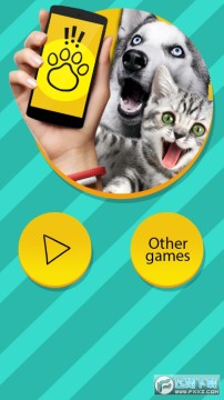 pettranslator����Ի����������İ�