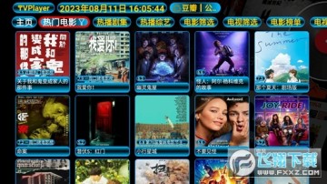 TVPLayer���Ӻ������°�