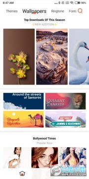 С�������̵���ʰ�ٷ����°�