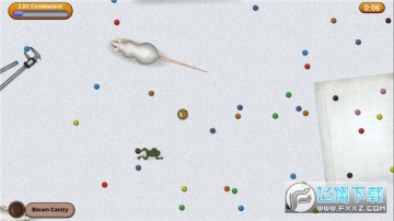 美味星球2中文版下载安卓版 美味星球2中文版下载安卓版