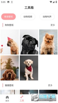 ���﷭������������������İ�