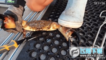 梅林iptv520已解锁tvbox原版内置源版 梅林iptv520已解锁tvbox原版内置源版