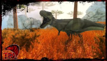 ���µ����������޹���