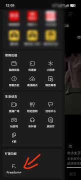 抖音内置小能手 内置Freedom可登录版 抖音内置小能手 内置Freedom可登录版