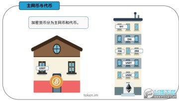 usdtXNFWimTokenX