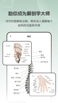 ģBodyٷv2.1.1׿؈D0