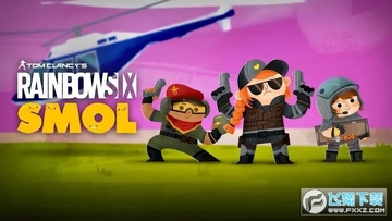 �ʺ�����SMOL���ʷ�