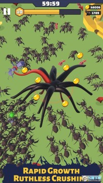 ������������޽����ʯ��