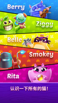 ����è�������ֻ���