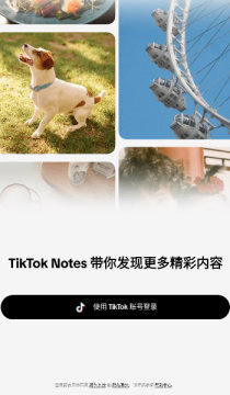 tiktoknotes