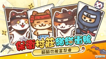 ����è�ĸ�����Ϸ�����