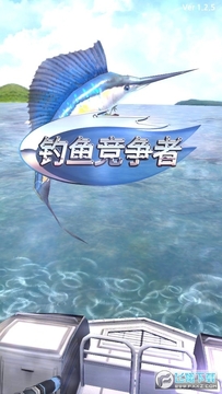 ���㾺���������