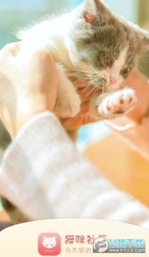 新版猫社区app官方最新版2024 新版猫社区app官方最新版2024