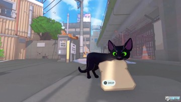 小猫咪大城市官方正版 小猫咪大城市官方正版