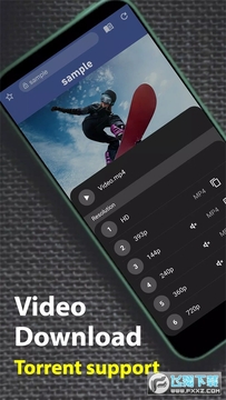 soul browser������ٷ���