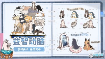 ����һ���èè