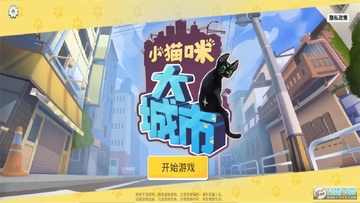 小猫咪大城市游戏去广告版 小猫咪大城市游戏去广告版
