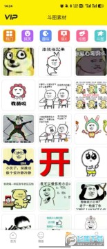 �����������������VIP����