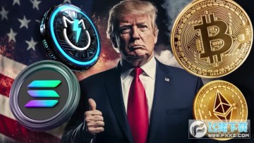 TRUMP���ϼ�����Щ������ TRUMP�����߽���������