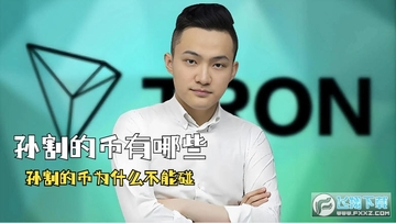 孙割的币有哪些 孙割的币为什么不能碰? 孙割的币有哪些 孙割的币为什么不能碰?