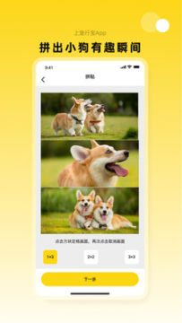 宠行宝(宠物社会化平台) 宠行宝(宠物社会化平台)