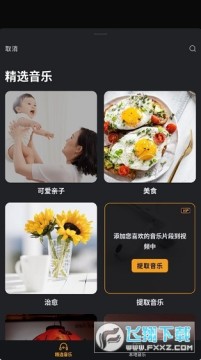 СӰVivaVideo���ʰ����عٷ���