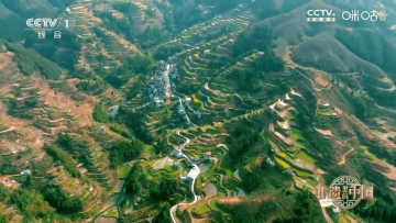 电视家8.0tv电视纯净版 电视家8.0tv电视纯净版