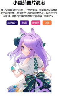 小番茄解图片混淆