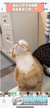 pinterest国际版下载官方正版 pinterest国际版下载官方正版