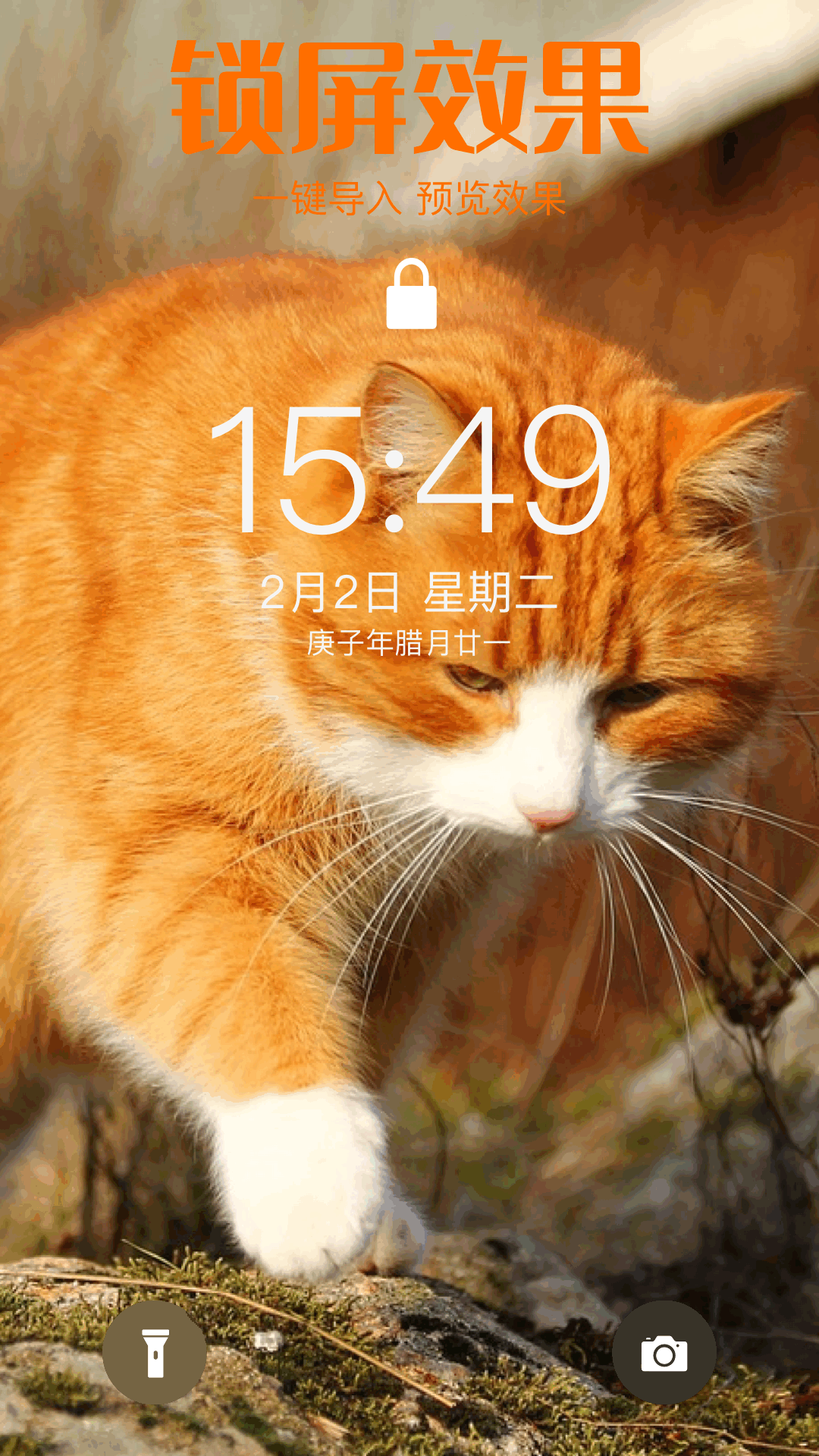 49tkͼappذװָ9.9.9ͼ2